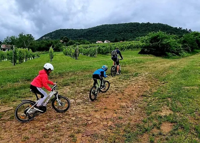 Prima Wellness Badacsony *